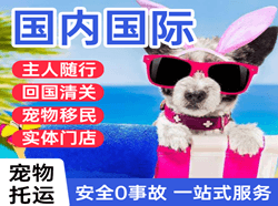 长治王村航空物流国际宠物托运 【国